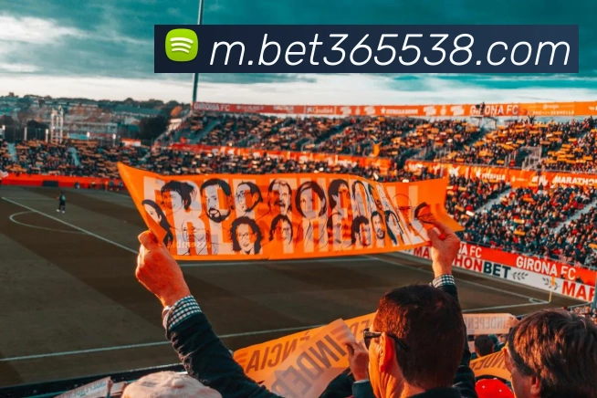 bet365中国官网平台生态图