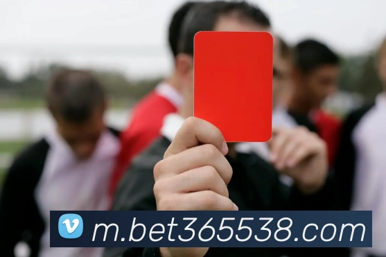 bet365中国官网APP 封面图